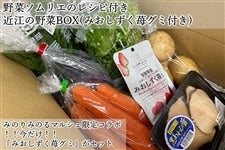 【母の日】野菜ソムリエのレシピ付　近江の野菜BOX(みおしずく苺グミ付き)