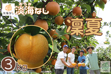珍しい品種（梨）|【JAタウン】産地直送 通販 お取り寄せ