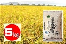 産地直送 通販 お取り寄せ滋賀のお米|JAタウン
