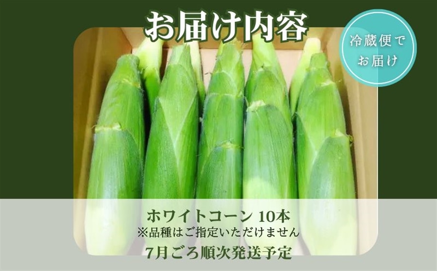 京都府産 松宮ファームの ホワイトコーン 10本入（300g/本）: JA