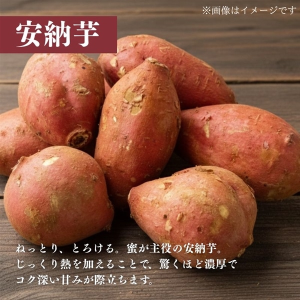 限定70箱】京丹後産 さつまいも食べ比べセット(紅はるか、安納芋