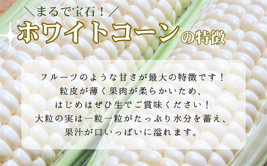京都府産 松宮ファームの ホワイトコーン 10本入（300g/本）: JA
