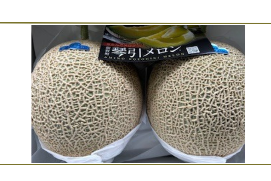 京丹後産 京たんごメロン（琴引メロン）（琴 3Lサイズ 2玉セット