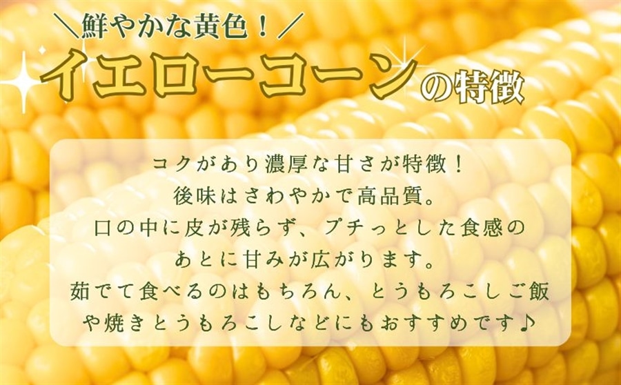 京都府産 松宮ファームのとうもろこし食べ比べ10本（ホワイト