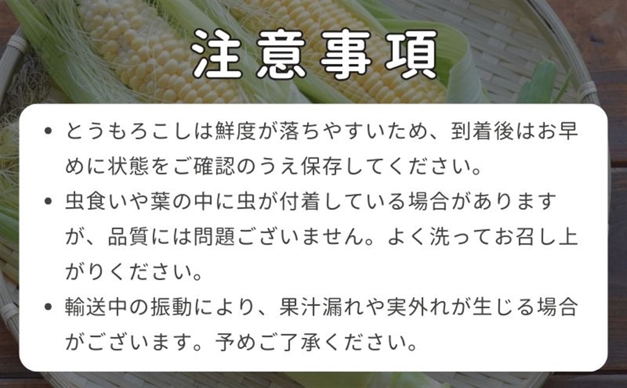 京都府産 松宮ファームの ホワイトコーン 10本入（300g以上/本