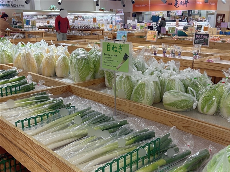 直売所たわわ朝霧直送！旬の野菜詰め合わせBOX（約8～10品）: JA