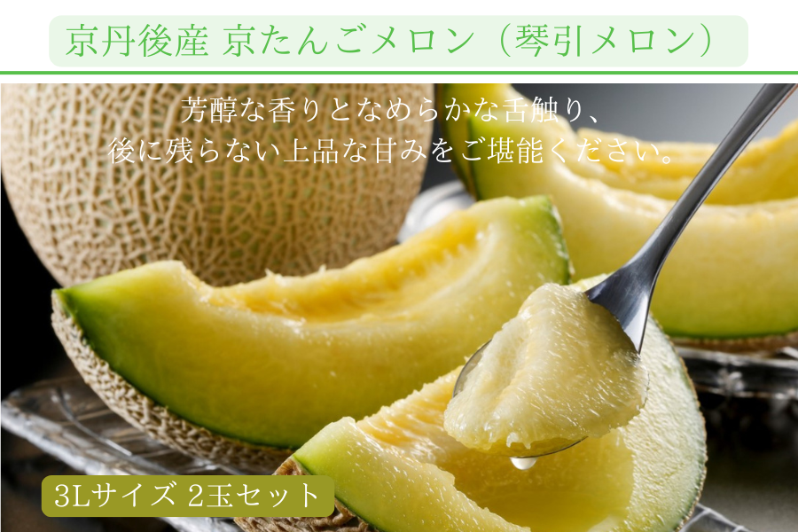 お中元】京丹後産 京たんごメロン（琴引メロン）（琴 3Lサイズ 2玉
