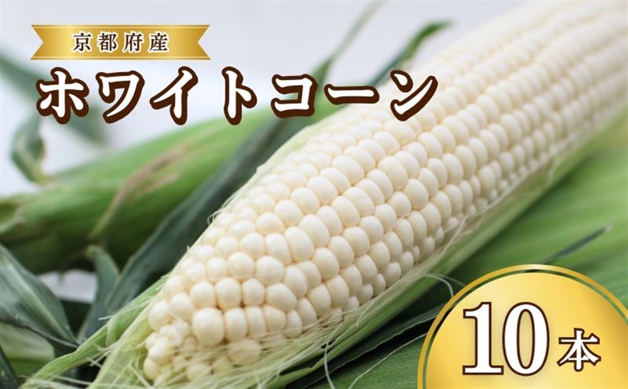 京都府産 松宮ファームの ホワイトコーン 10本入（300g以上/本