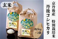 ORVqJ ʍ͔|āiāj5kg×2