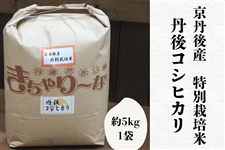 新米丹後コシヒカリ 特別栽培米 精米 約5kg