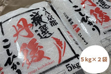 �y����풩���z�O��Y�R�V�q�J���P�O�����i�T����×�Q�j