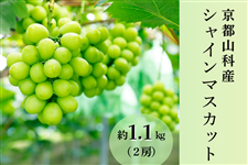 ���s�R�Ȋ��C���ό��_���V���C���}�X�J�b�g��1.1kg(2�[)