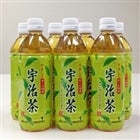 JA京都やましろ 宇治茶 ペットボトル 500ml×24本