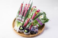 【定期購入】京野菜 おためしセット 6種類程度