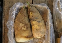  �������̂� ��2kg�i �ƒ�p���� �j