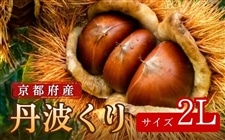 �y�O�g����z���s�{�Y�@2L�T�C�Y�E2kg�@�������u����풩���v��蒼��