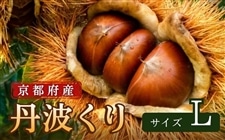 �y�O�g����z���s�{�Y�@L�T�C�Y�E2kg�@�������u����풩���v��蒼��