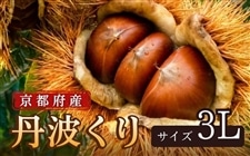 �y�O�g����z���s�{�Y�@3L�T�C�Y�E1kg�@�������u����풩���v��蒼��