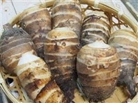 т ی^ 5si12-30j