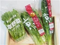 p苞؃Zbg 3