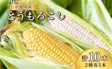 ���s�{�Y�@���{�t�@�[���̂Ƃ����낱���H�ה��10�{�i�z���C�g�E�C�G���[�e5�{�j
