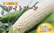 京都府産 松宮ファームの ホワイトコーン 10本入（300g/本）: JA