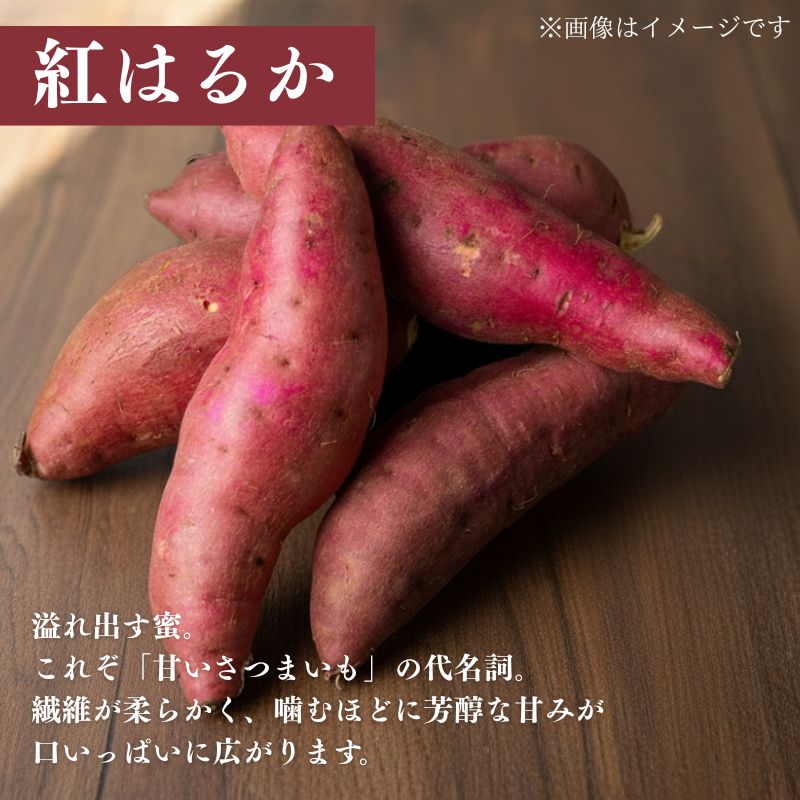 限定70箱】京丹後産 さつまいも食べ比べセット(紅はるか、安納芋