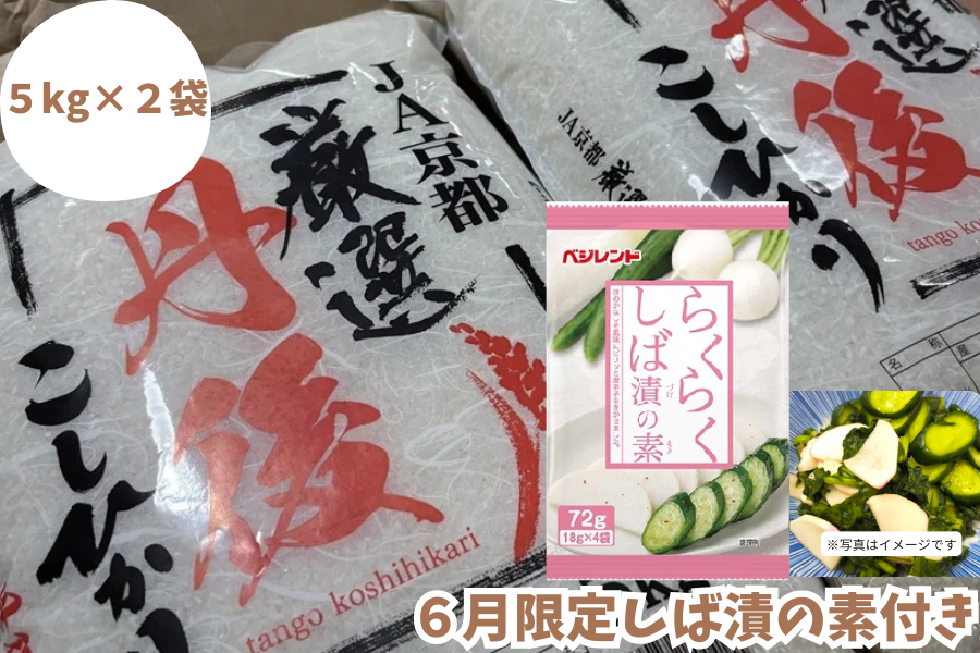 たわわ朝霧】丹後産コシヒカリ10kg（5kg×2） ○6月限定