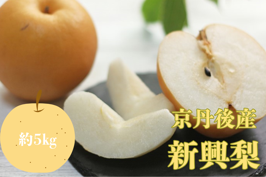 京丹後産 新興梨 秀品 約5kg（8玉～11玉入り）: JA全農京都ショップ