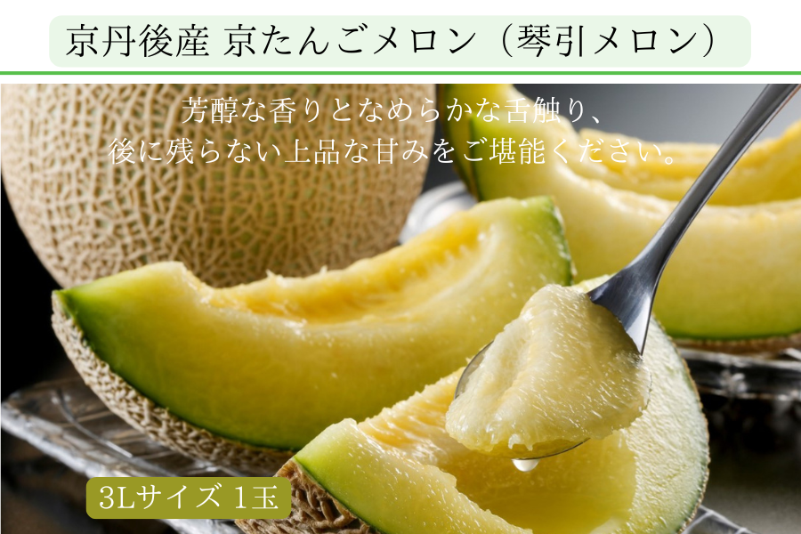 京丹後産 京たんごメロン（琴引メロン）（琴 3Lサイズ 1玉）: JA全農