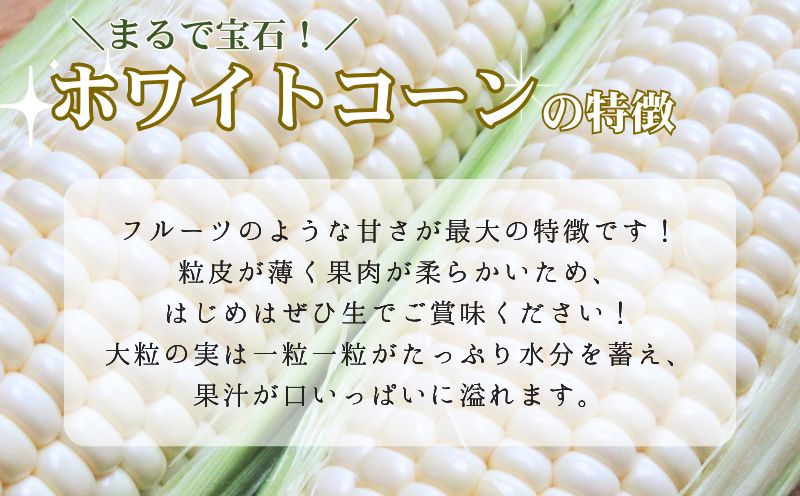 京都府産 松宮ファームの ホワイトコーン 10本入（300g/本）: JA