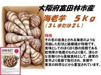 {xcюsYCV@T×PiRk܂͂Qkj