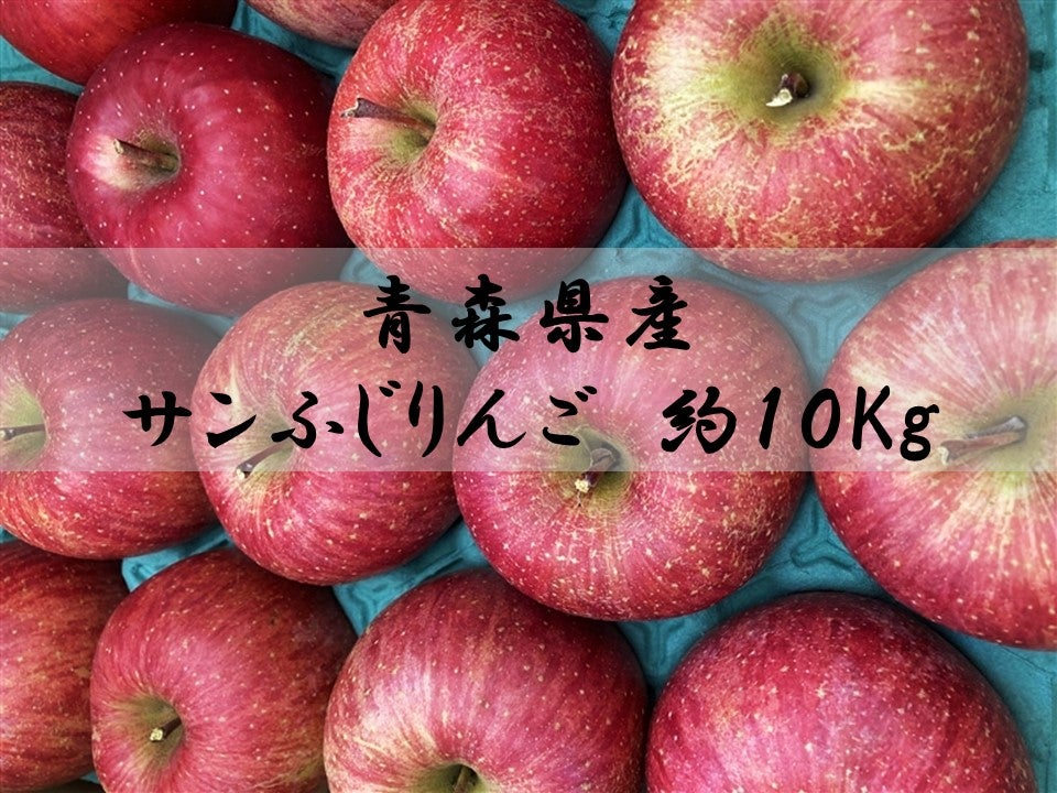 101【高糖度】13度のサンふじりんご　約10�s