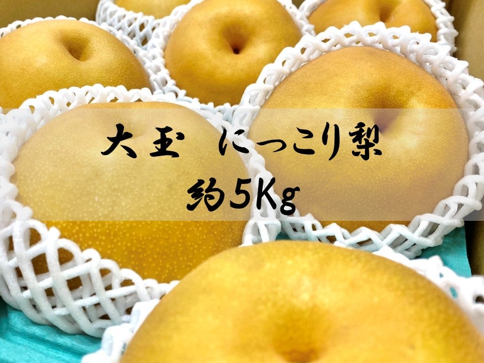 産地直送 通販 お取り寄せ梨 なし jaタウン 産地直送 通販 お取り寄せ梨 なし jaタウン