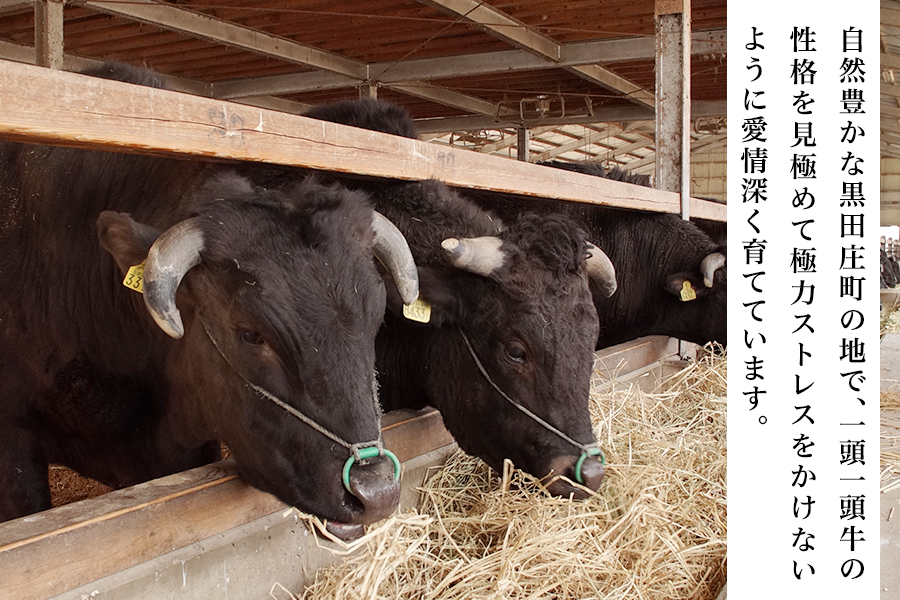 ●【肉の日】黒田庄和牛 ロースしゃぶしゃぶ肉(800g) ※お客様送料負担0円