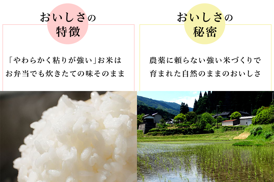 （特別栽培米）コウノトリ育むお米 10kg 【特A米】