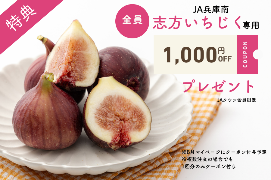 予約】JA兵庫南 いなみ野メロン（青肉・赤肉・4L・各1玉入り） 【7月