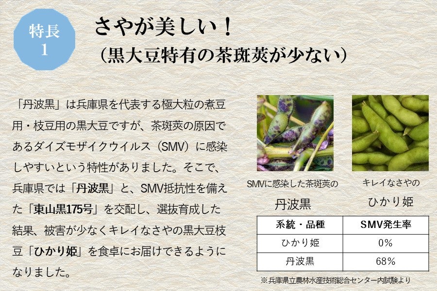 産地直送 通販 お取り寄せ 予約 兵庫の新しい枝豆 ひかり姫 0g 6p あつめて 兵庫 ｊａタウン