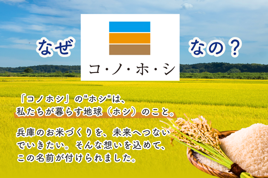 兵庫県産「コノホシ」5kg ※お客様送料負担なし: あつめて、兵庫