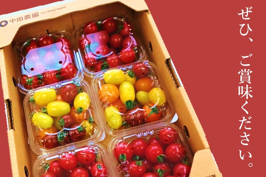中田農園の淡路島産ミニトマト（赤色多め・６パック）:　通販　あつめて、兵庫。|【ＪＡタウン】産地直送　お取り寄せ
