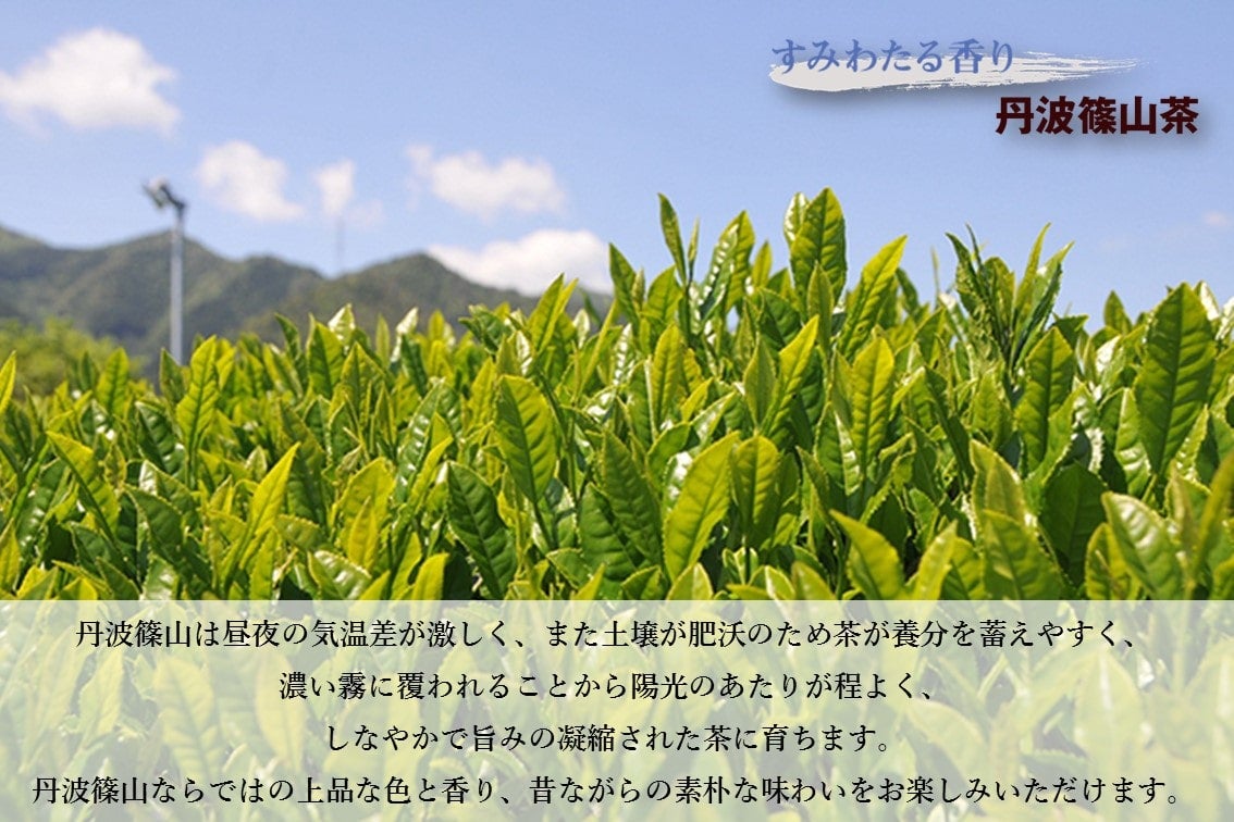 丹波篠山茶うどん（2人前×3）:　お取り寄せ　あつめて、兵庫。|【ＪＡタウン】産地直送　通販