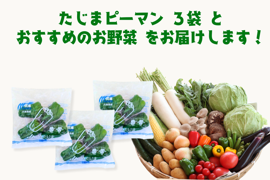 食べて応援】たじまピーマンたっぷり！JAたじま野菜BOX（小）: あつめ