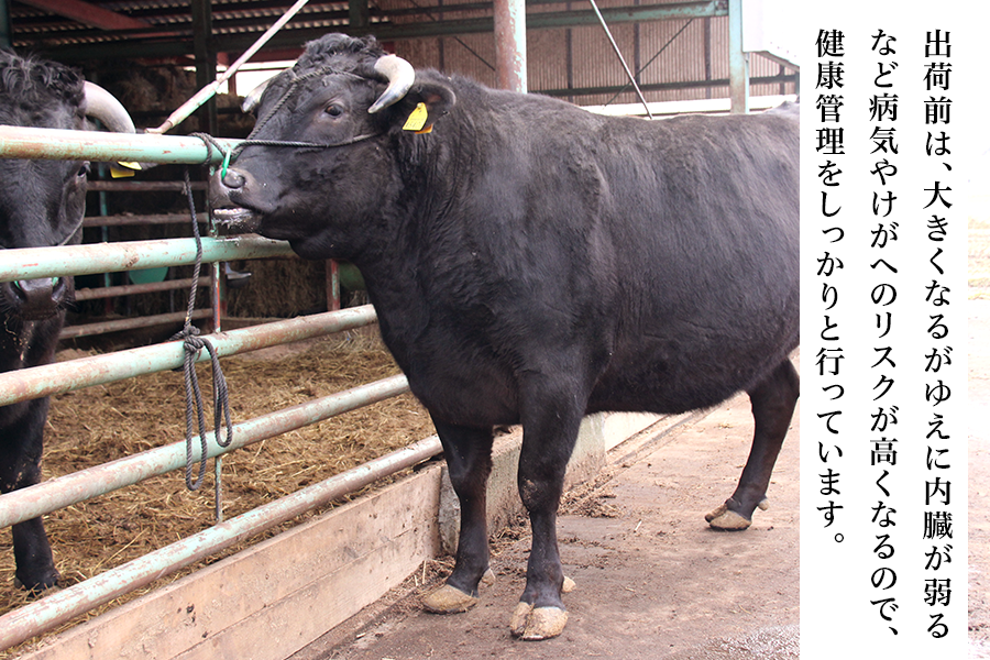 【お歳暮】黒田庄和牛 モモ焼肉用(300g)|早割| ※お客様送料負担0円