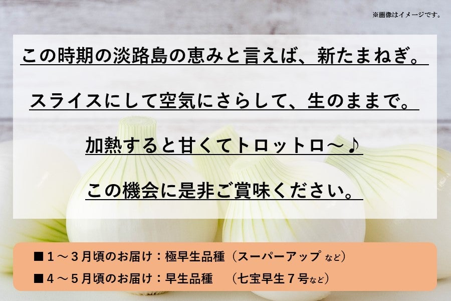 【数量限定】奈良さん家の淡路島産新たまねぎ(約3kg)