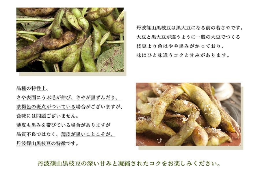 予約】丹波篠山黒枝豆（業務用バラ 約5kg） ※お客様送料負担0円