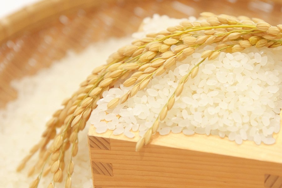 特別栽培米「ちくさの舞」 4kg　／宍粟市千種町産・清流が育むこしひかり