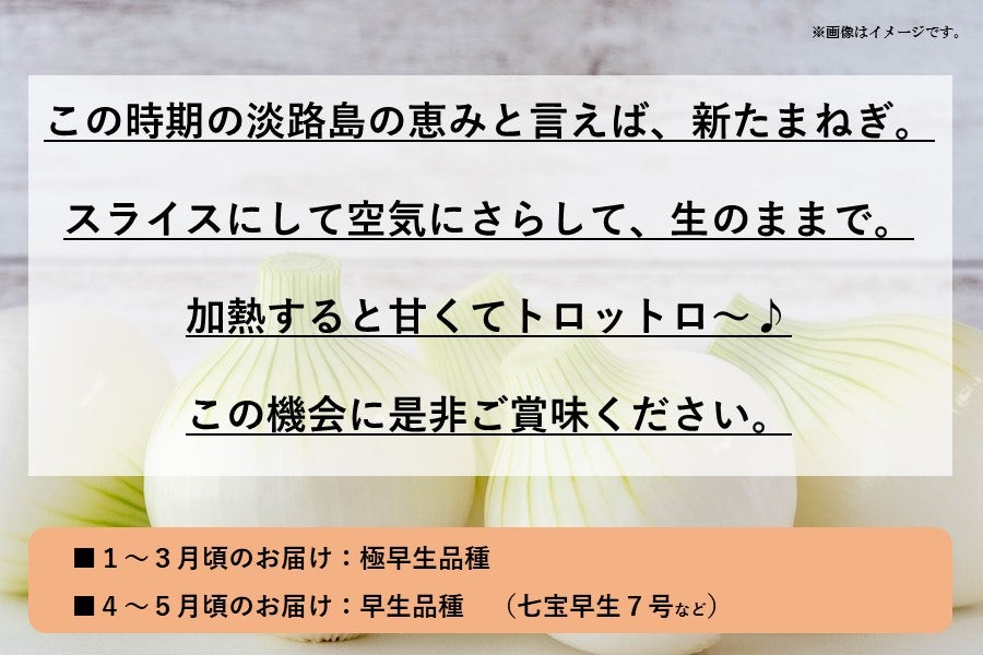 【数量限定】馬場さん家の淡路島産新たまねぎ(約5kg)