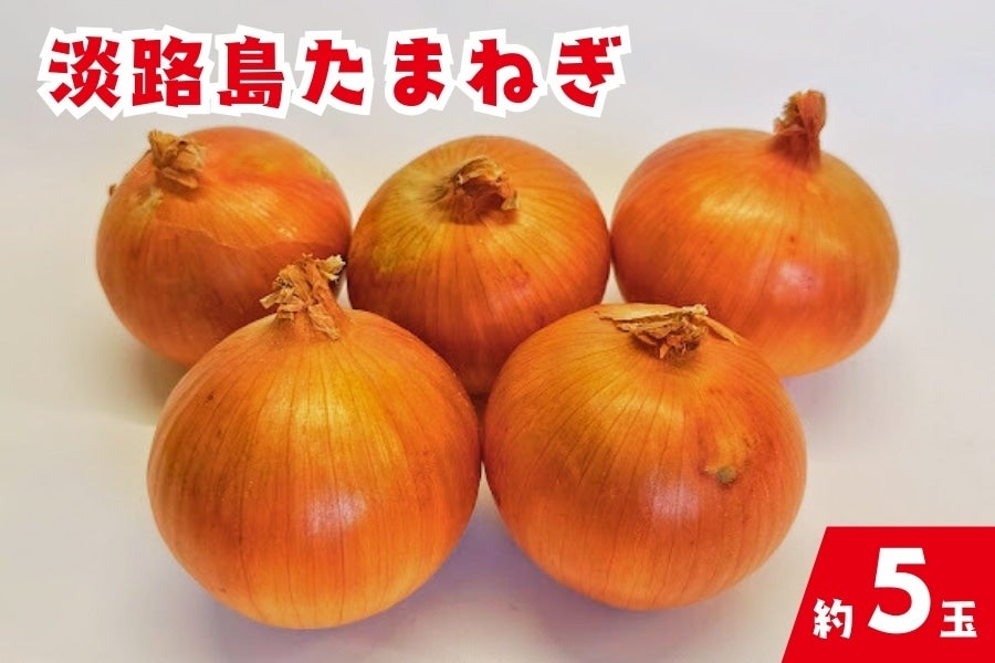 【数量限定】淡路島牛丼を作ろう!! (美菜恋来屋10周年記念セット)