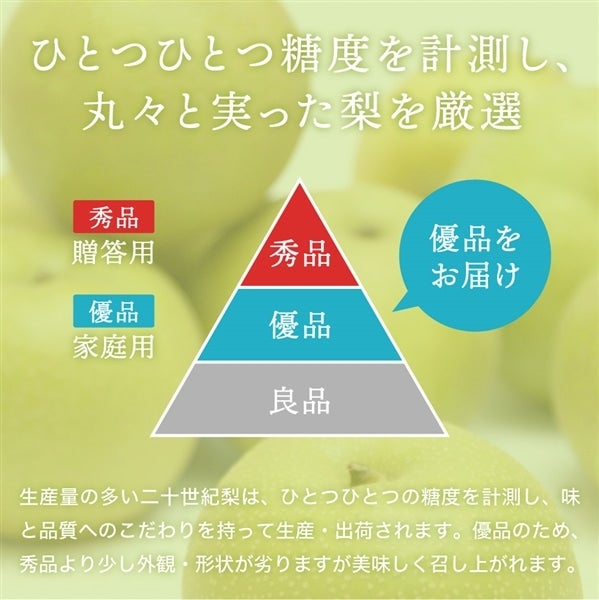 通販　2023年度終売】香住梨「二十世紀梨」　あつめて、兵庫。|【ＪＡタウン】産地直送　約5kg:　優品・ご家庭用　お取り寄せ