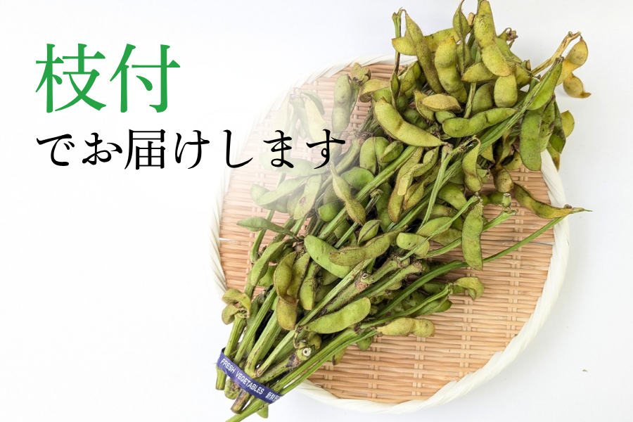 予約】丹波黒大豆枝豆（700g×5束） 【10月中旬以降出荷開始】: あつめ
